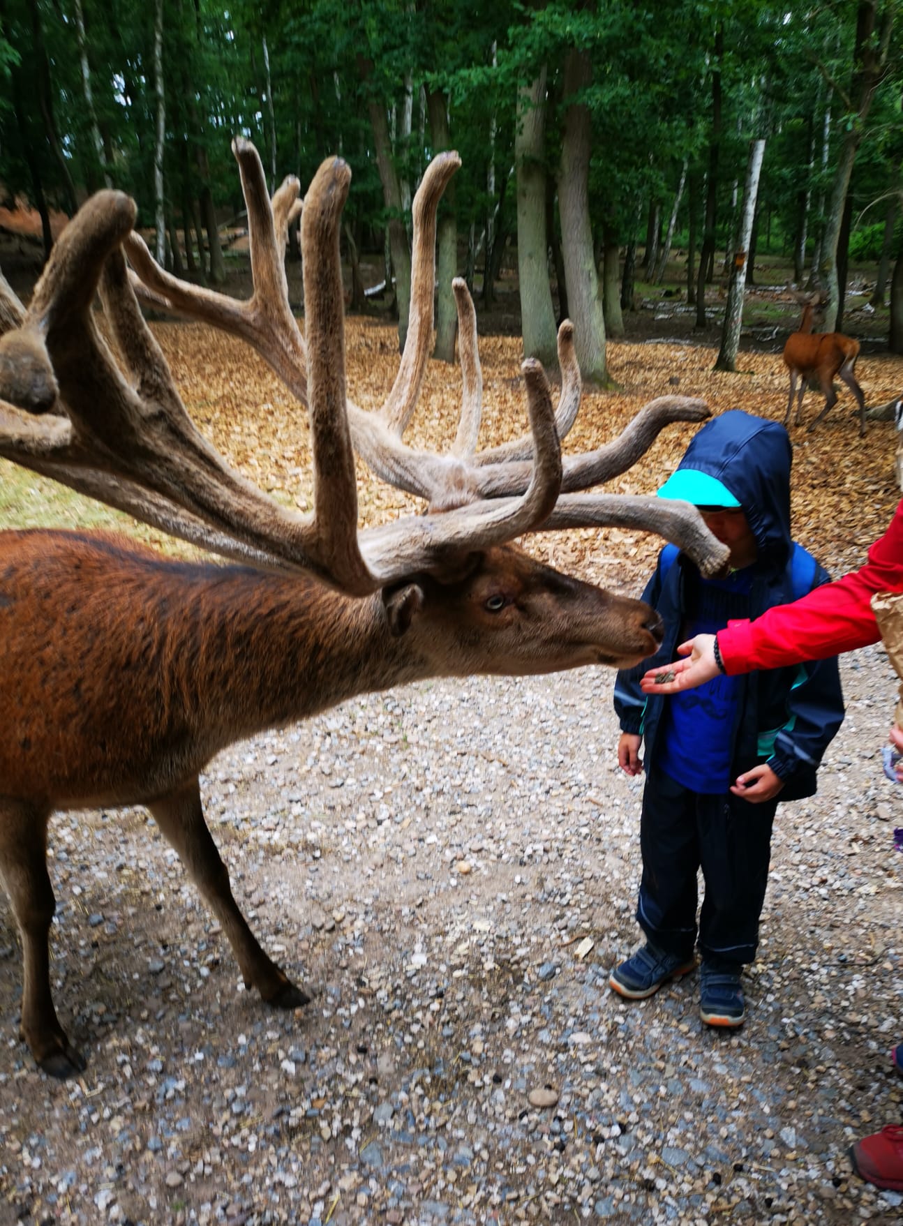 Wildpark